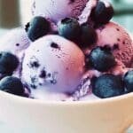 blueberry cottage cheese ice cream 2.png