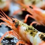 butterfly shrimp 2.png