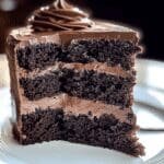 chocolate buttermilk cake 2.png