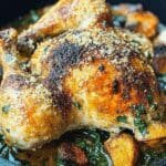 crispy baked parmesan chicken 2.png