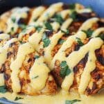 mexican chicken 2.png