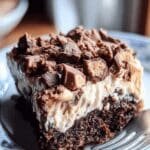 chocolate peanut butter poke cake 2.png