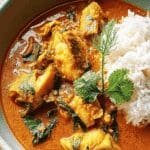 fish curry 2.png