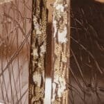 chocolate bars 2.png