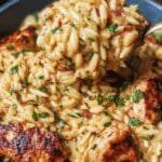 Cajun Chicken Alfredo Orzo 97.png