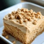 Peanut Butter Cake 87.png