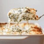 Spinach And Mushroom Lasagna 47.png