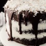 Chocolate Coconut Cake 19.png