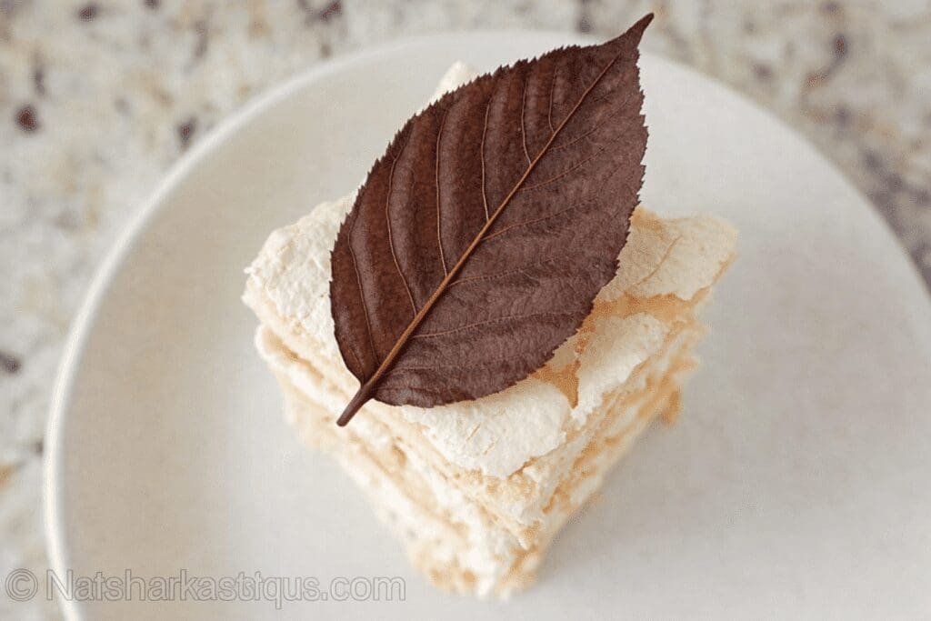 Chocolate Leaf 39.png