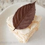 Chocolate Leaf 39.png