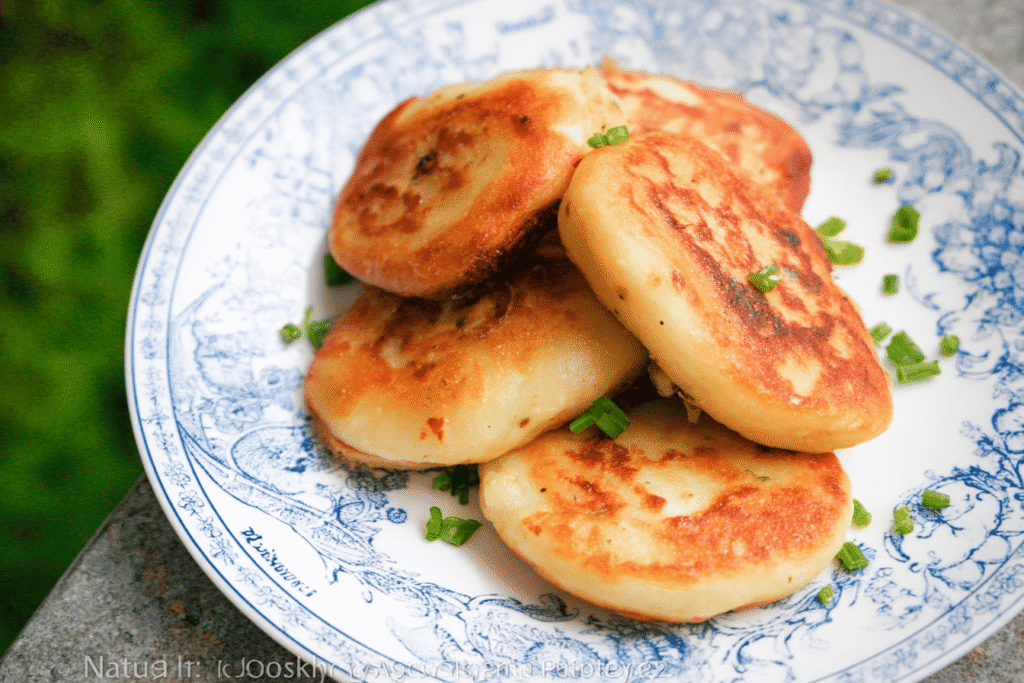 Stuffed Potato Pancakes 3.png