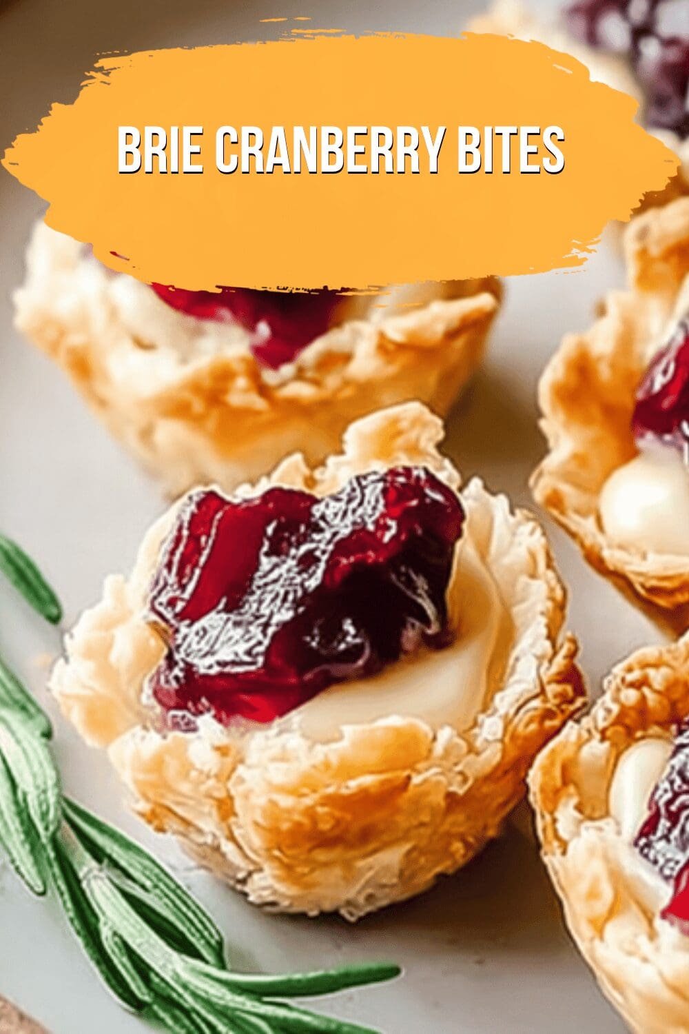 Brie Cranberry Bites