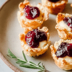Brie Cranberry Bites 77.png