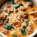 Italian Sausage Orzo Soup 58.png