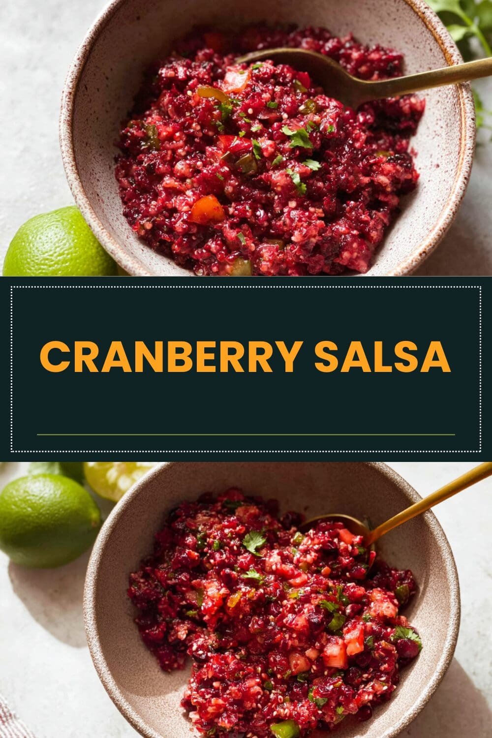 Cranberry Salsa