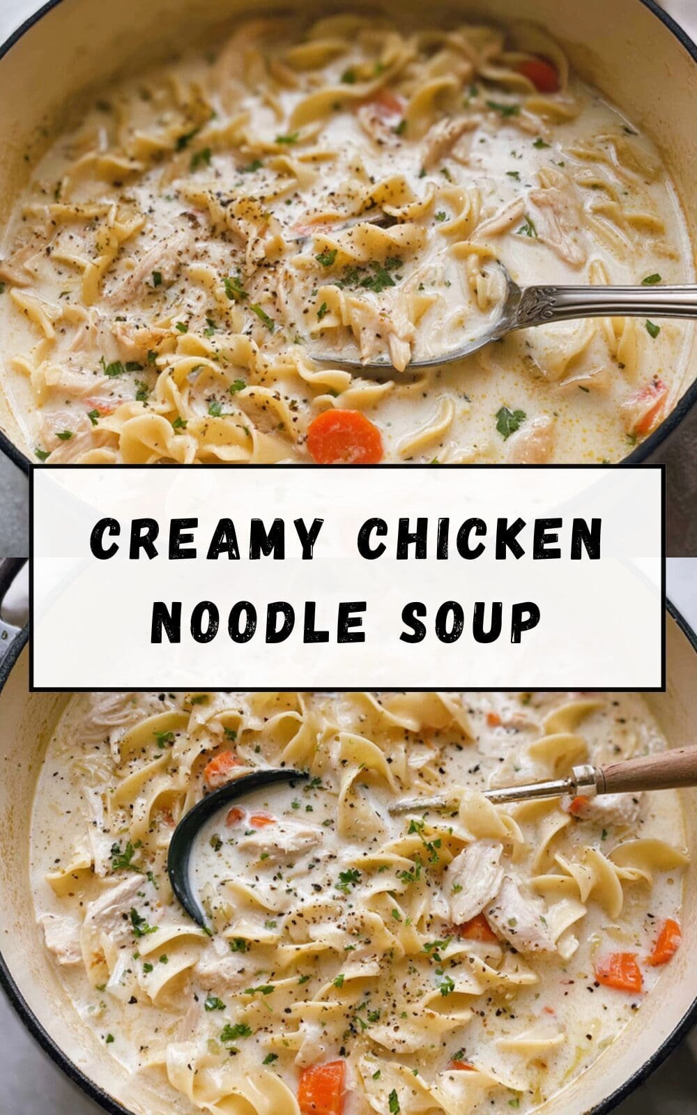 Creamy Chicken Noodle Soup