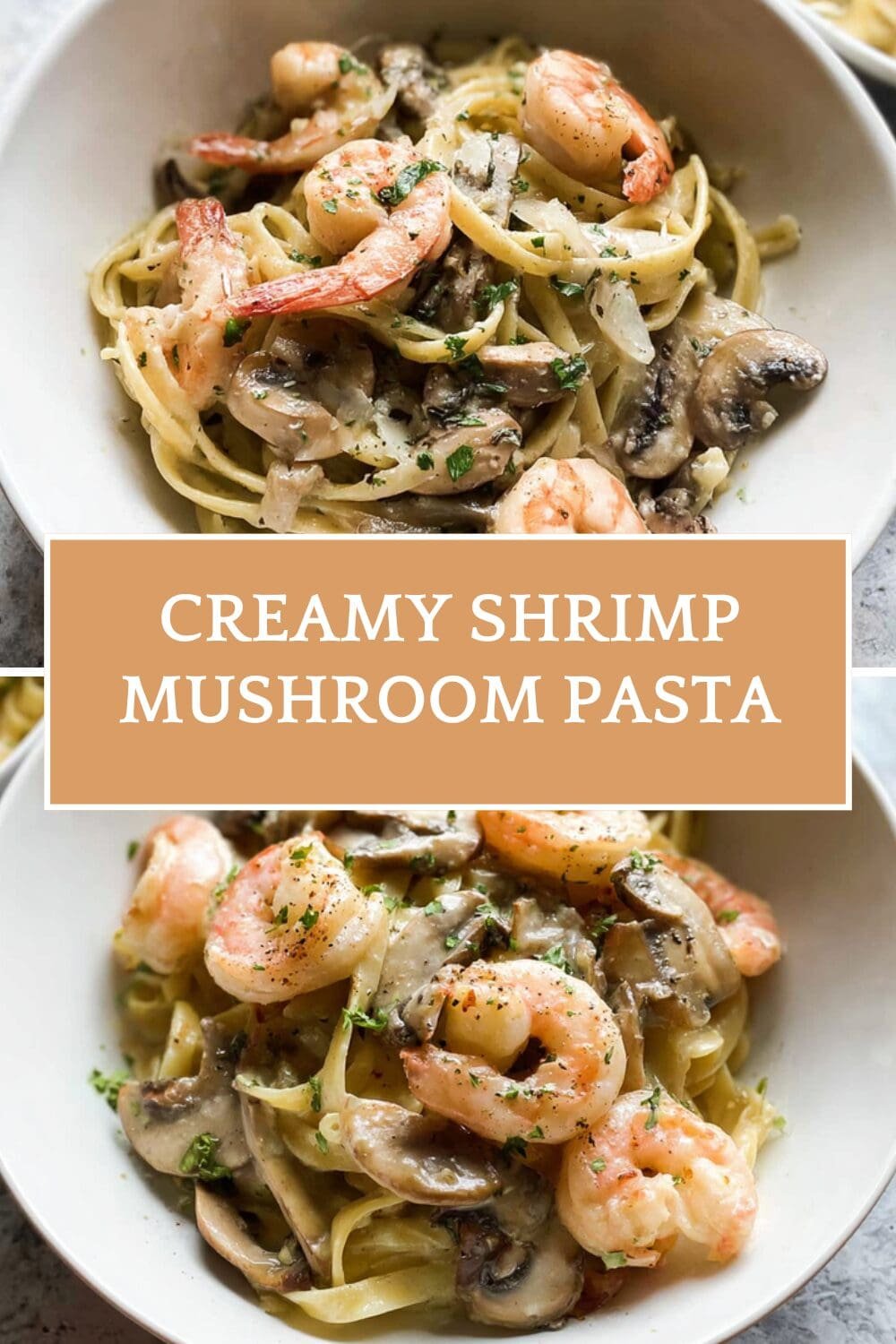 Creamy Shrimp Mushroom Pasta