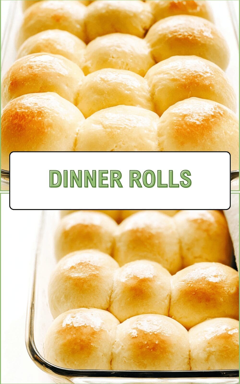 Dinner Rolls