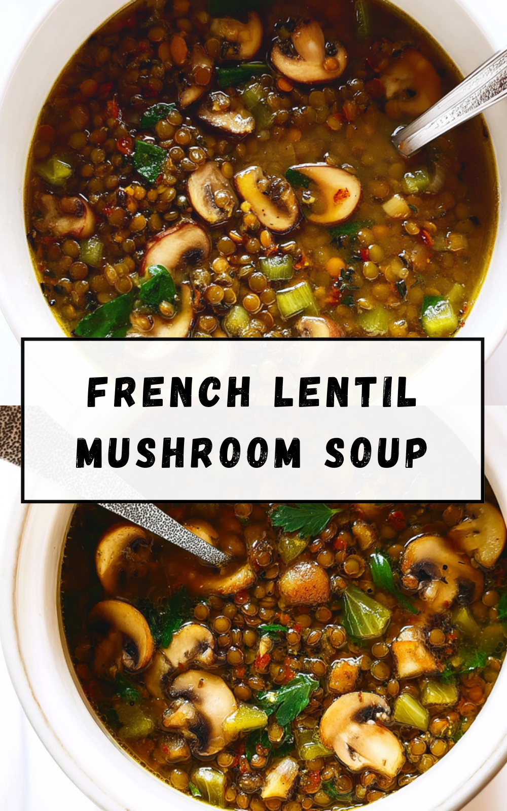 French Lentil Mushroom Soup
