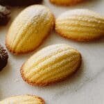 Madeleines 79.png