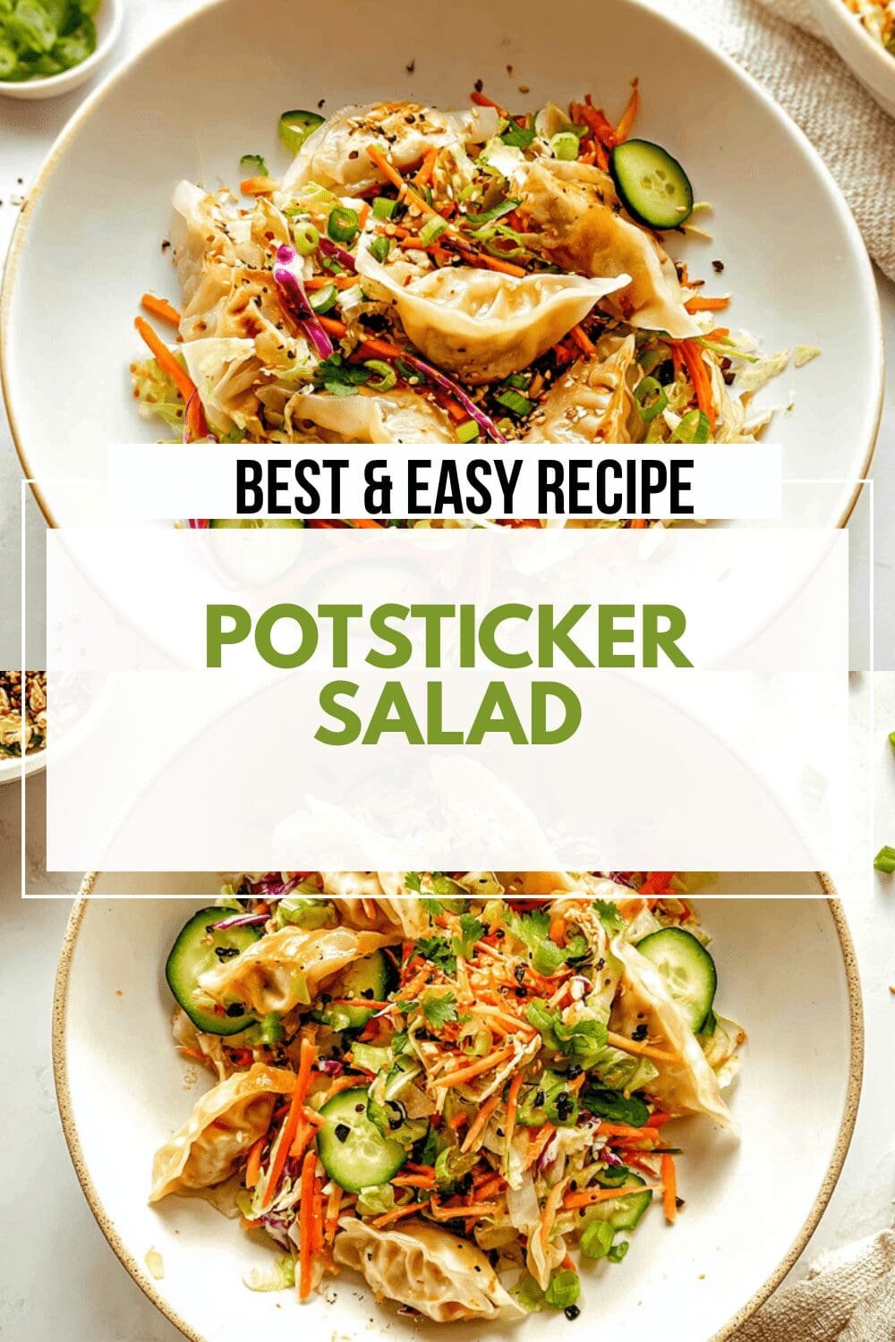 Potsticker Salad