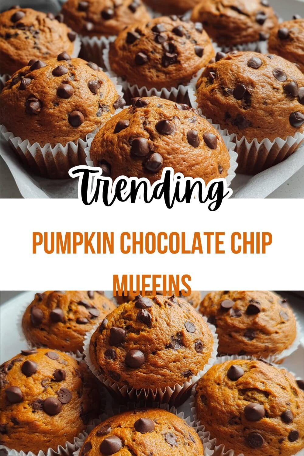 Pumpkin Chocolate Chip Muffins