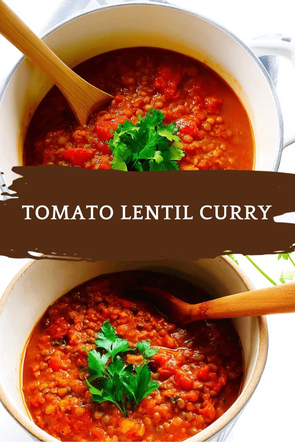 Tomato Lentil Curry