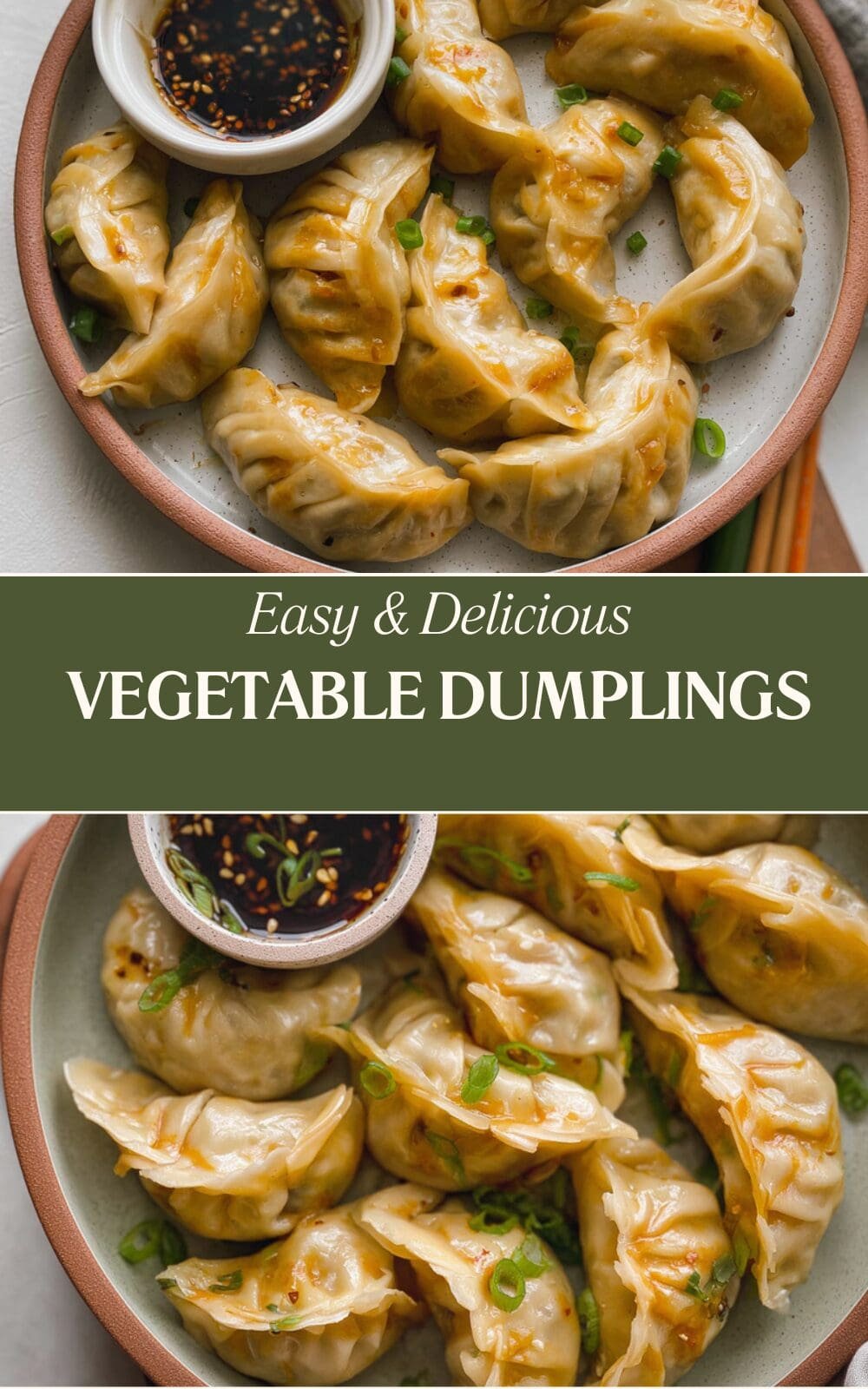 Vegetable Dumplings