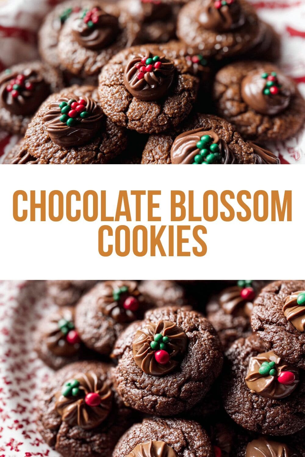 Chocolate Blossom Cookies