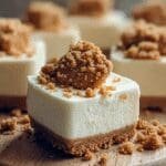 Mini Biscoff Cheesecakes 77.png