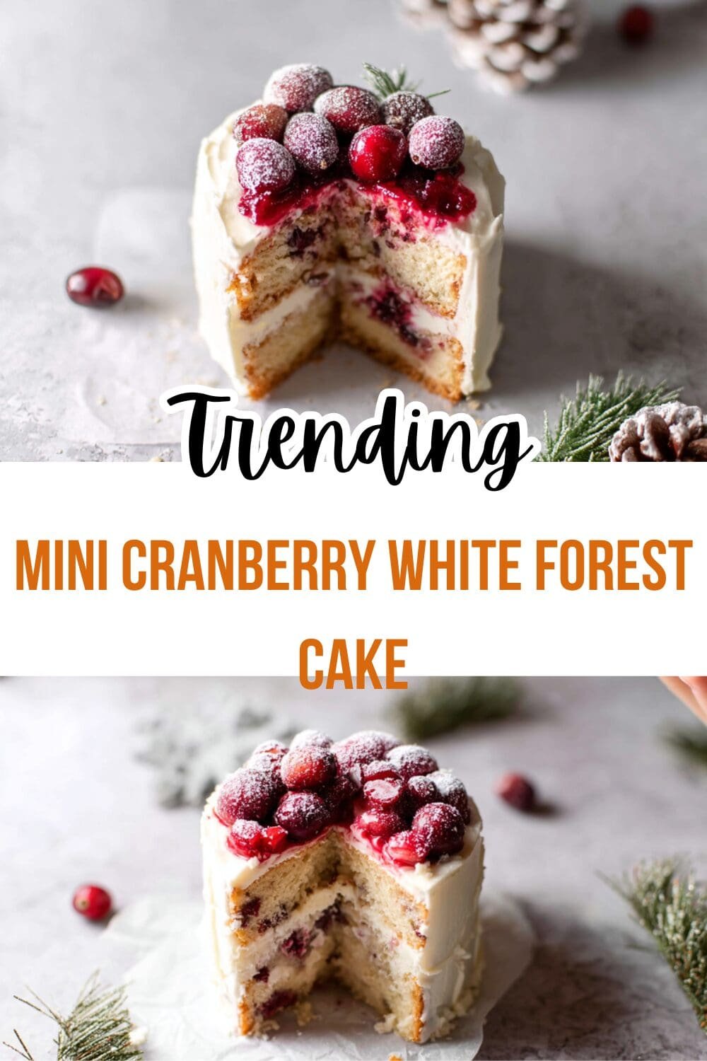 Mini Cranberry White Forest Cake