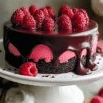 Raspberry Chocolate Ganache Cake 53.png