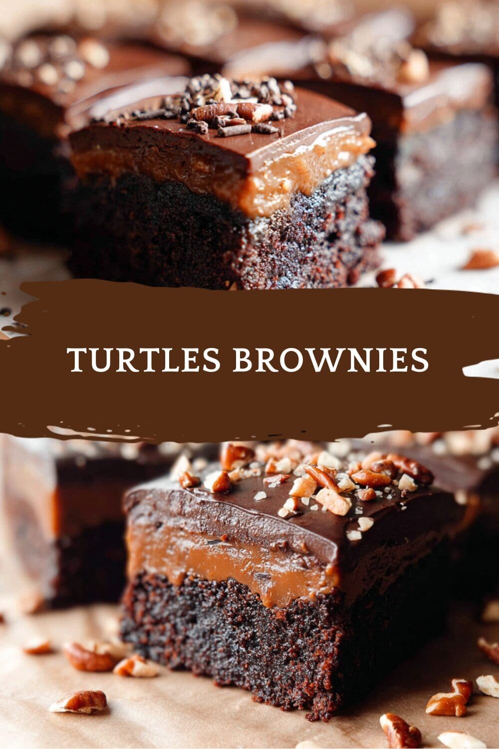 Turtles Brownies
