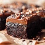 Turtles Brownies 49.png