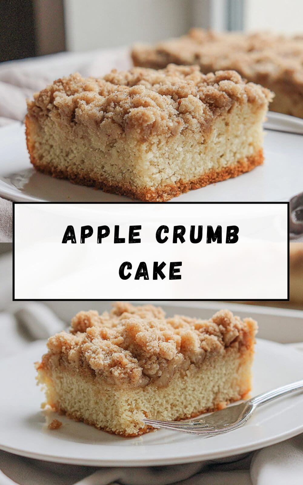 Apple Crumb Cake