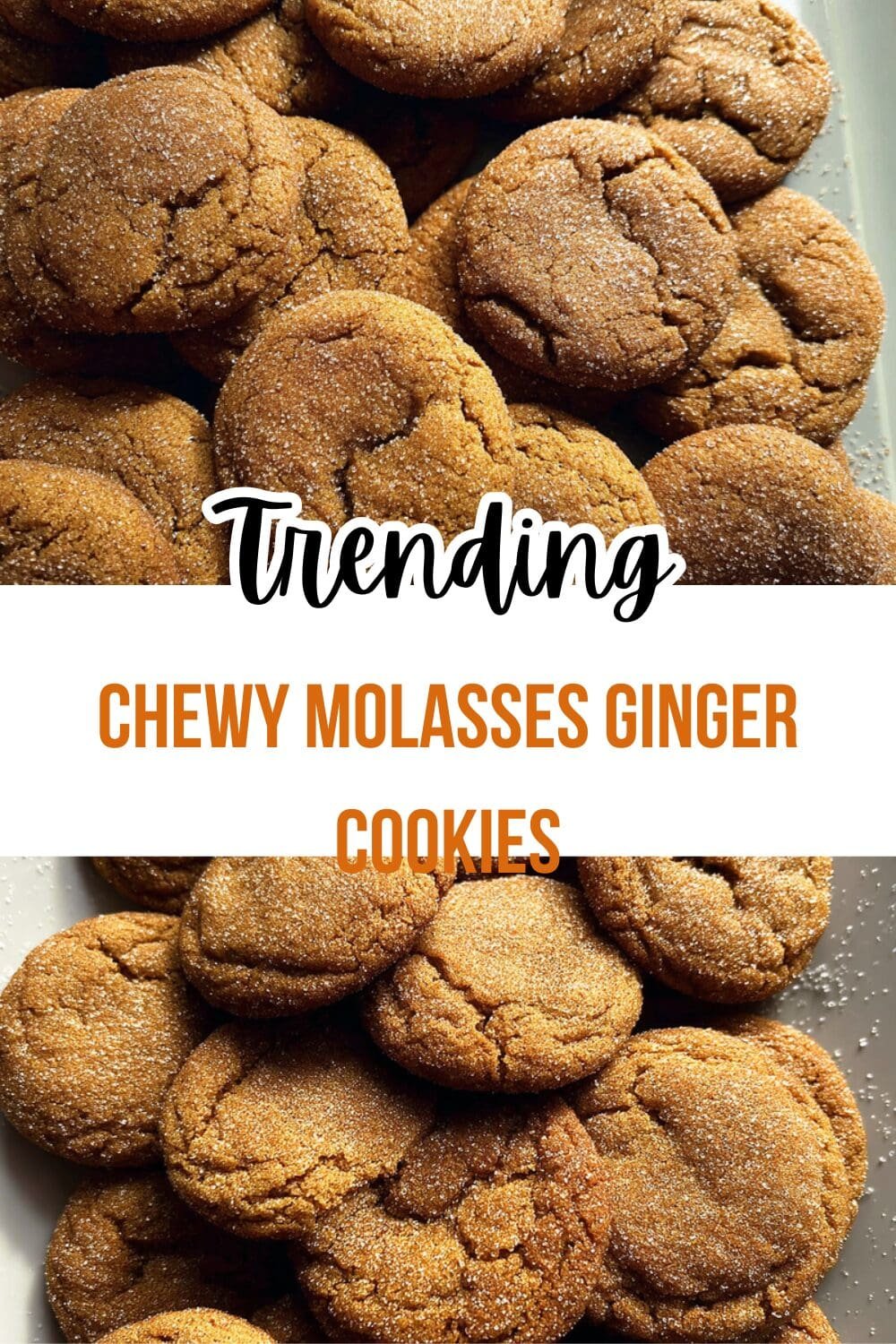Chewy Molasses Ginger Cookies