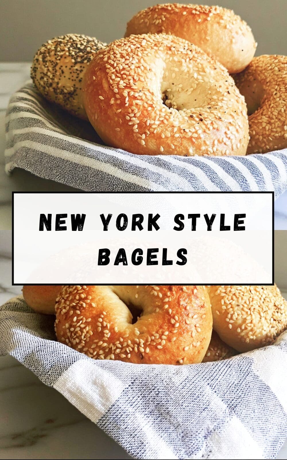 New York Style Bagels